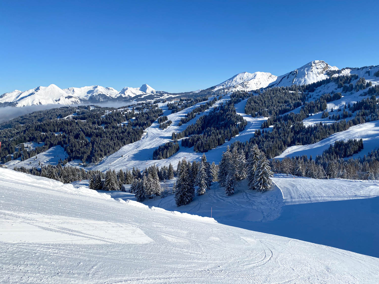 Pistes in Les Gets