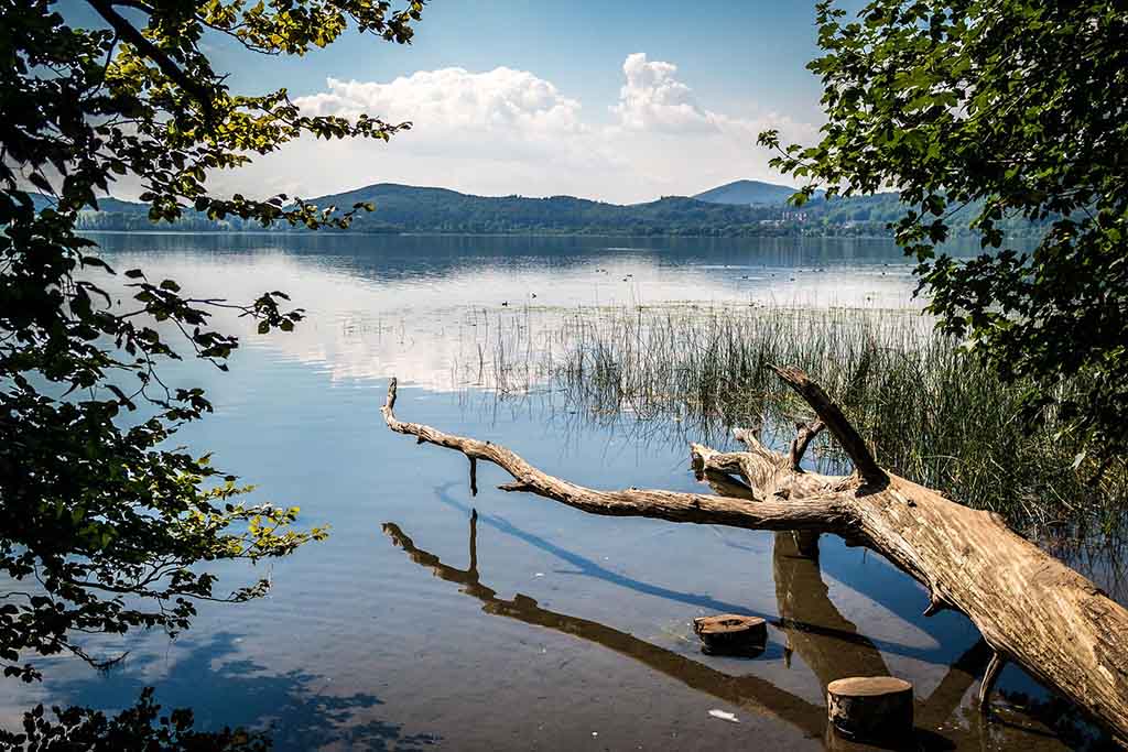 Die 5 schönsten Wanderwege in der Eifel Indenbergen.de Die 5 schönsten Wanderwege in der Eifel Indenbergen.de