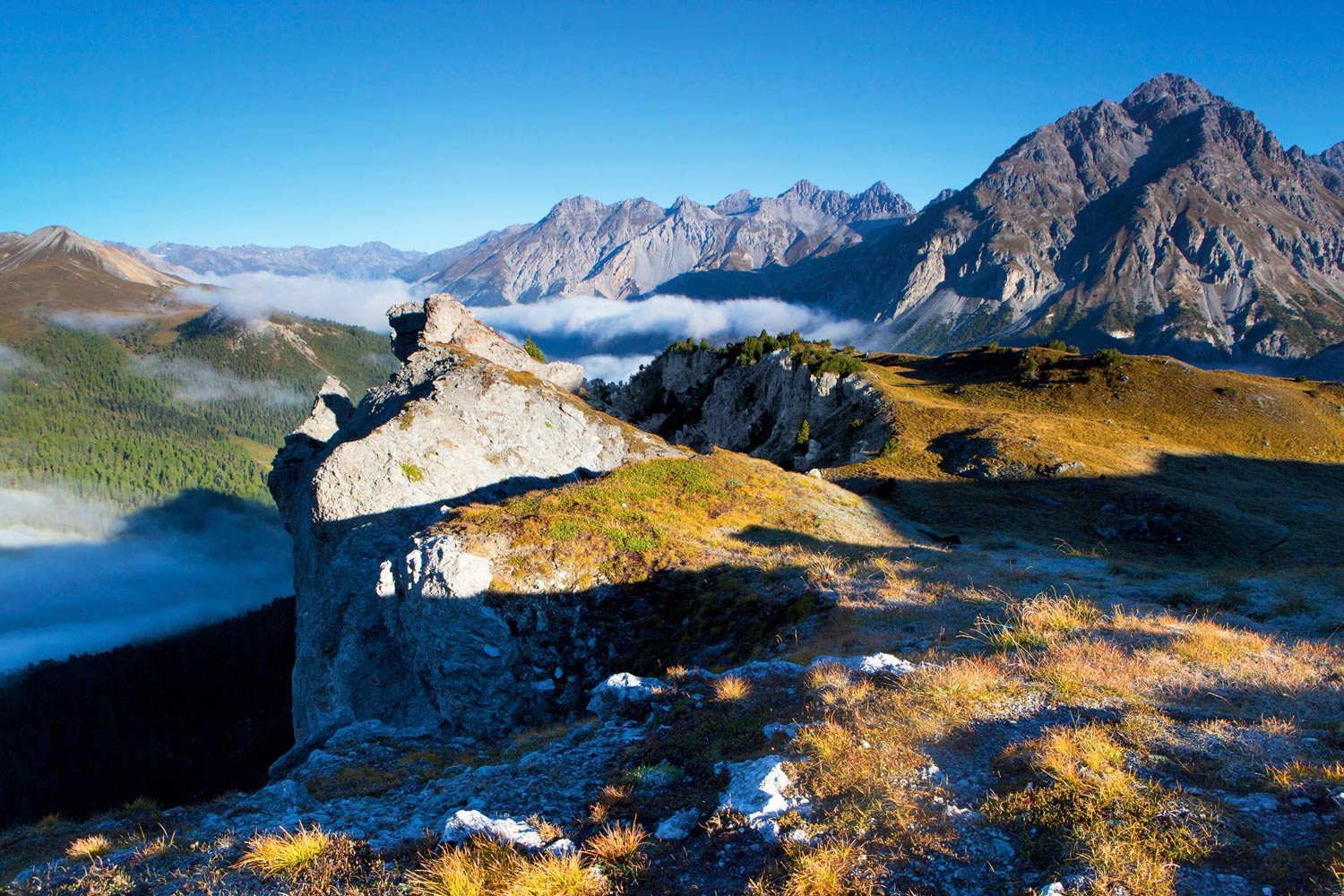 Uitzicht Zwitsers Nationaal Park